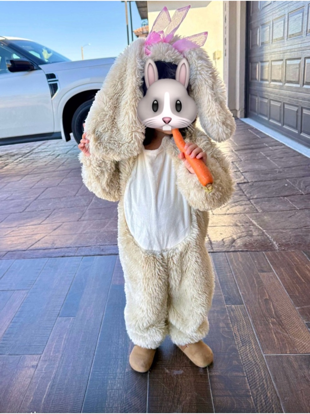 Fuzzy Bunny Costume - Picture 5 of 5